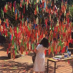 Meet your Posher, Quỳnh